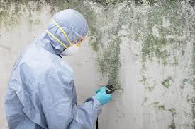 Mold Odor Removal Services in Wharton, TX